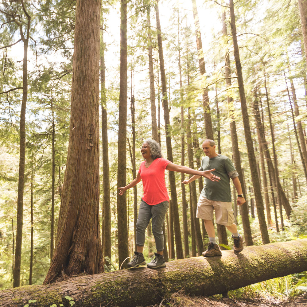 What Causes Health Insurance Premiums To Increase