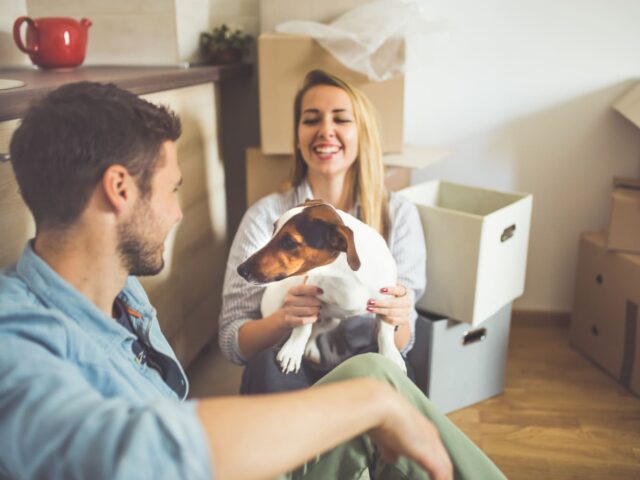 Moving Abroad With Pets: Can You Take Your Pets Abroad?