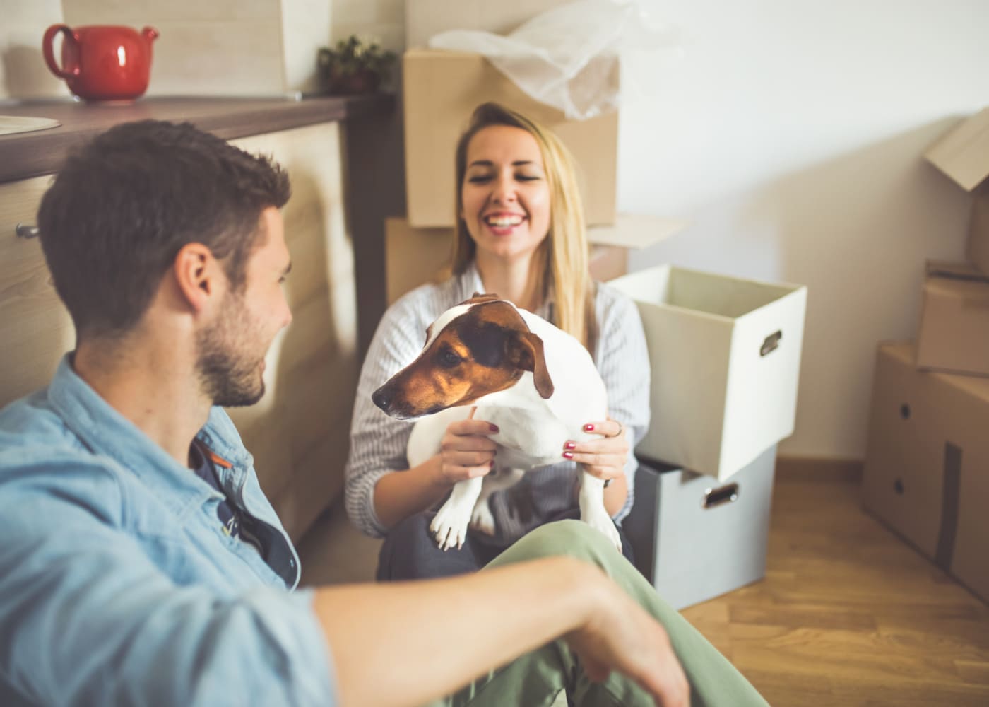 Moving Abroad With Pets: Can You Take Your Pets Abroad?