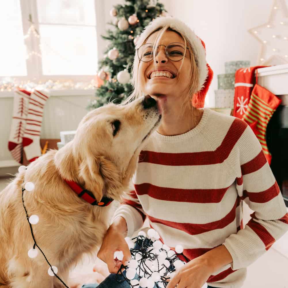 A young woman and her dog enjoying together at home in a Christmas atmosphere