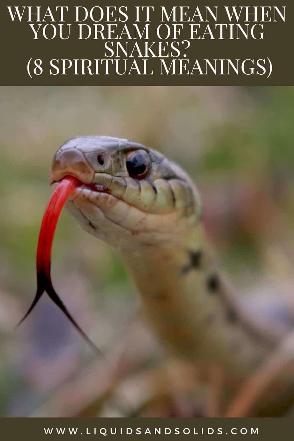  Hvad betyder det, når du drømmer om at spise slanger? (8 spirituelle betydninger)