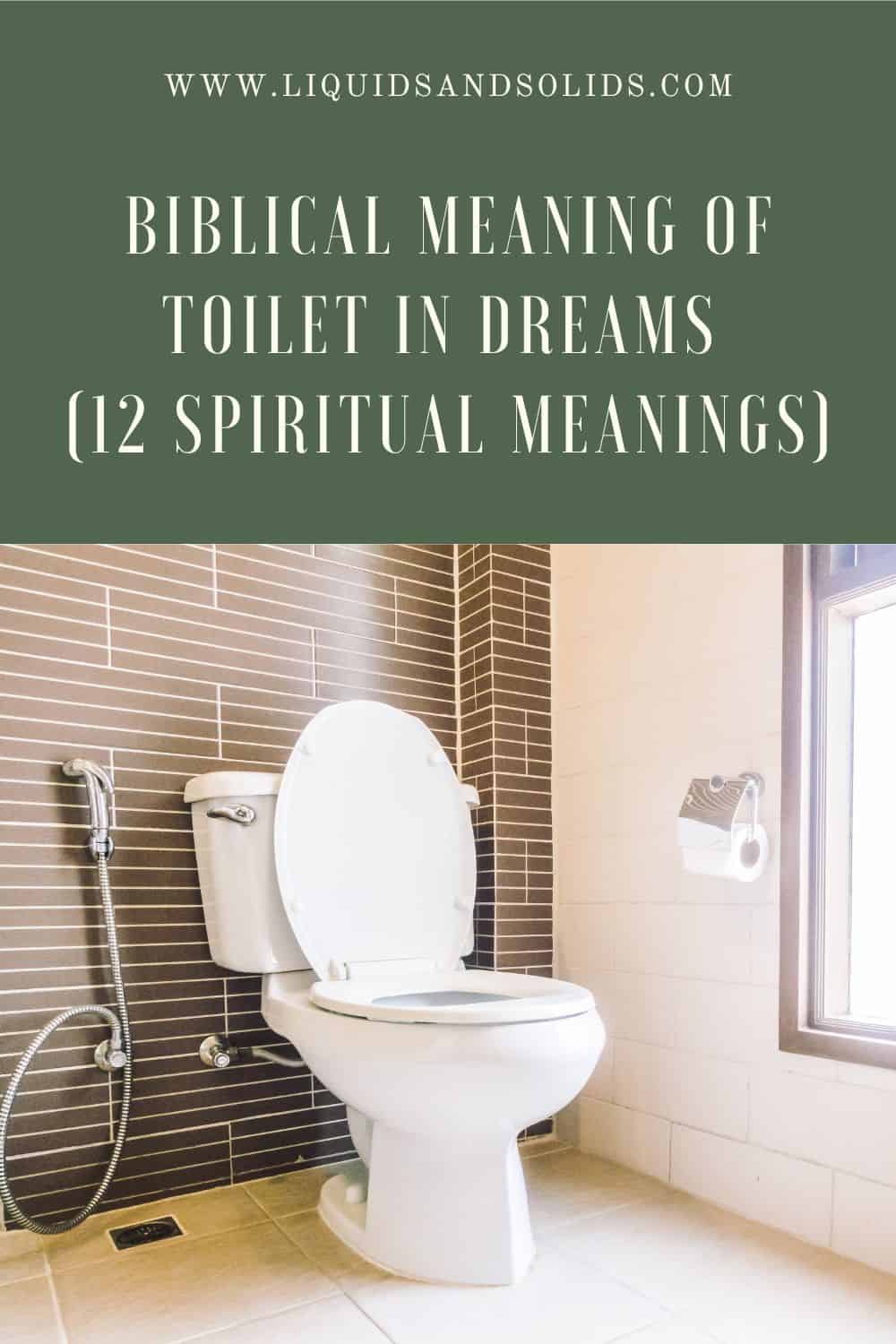  Bibelsk betydning af toilet i drømme (12 åndelige betydninger)