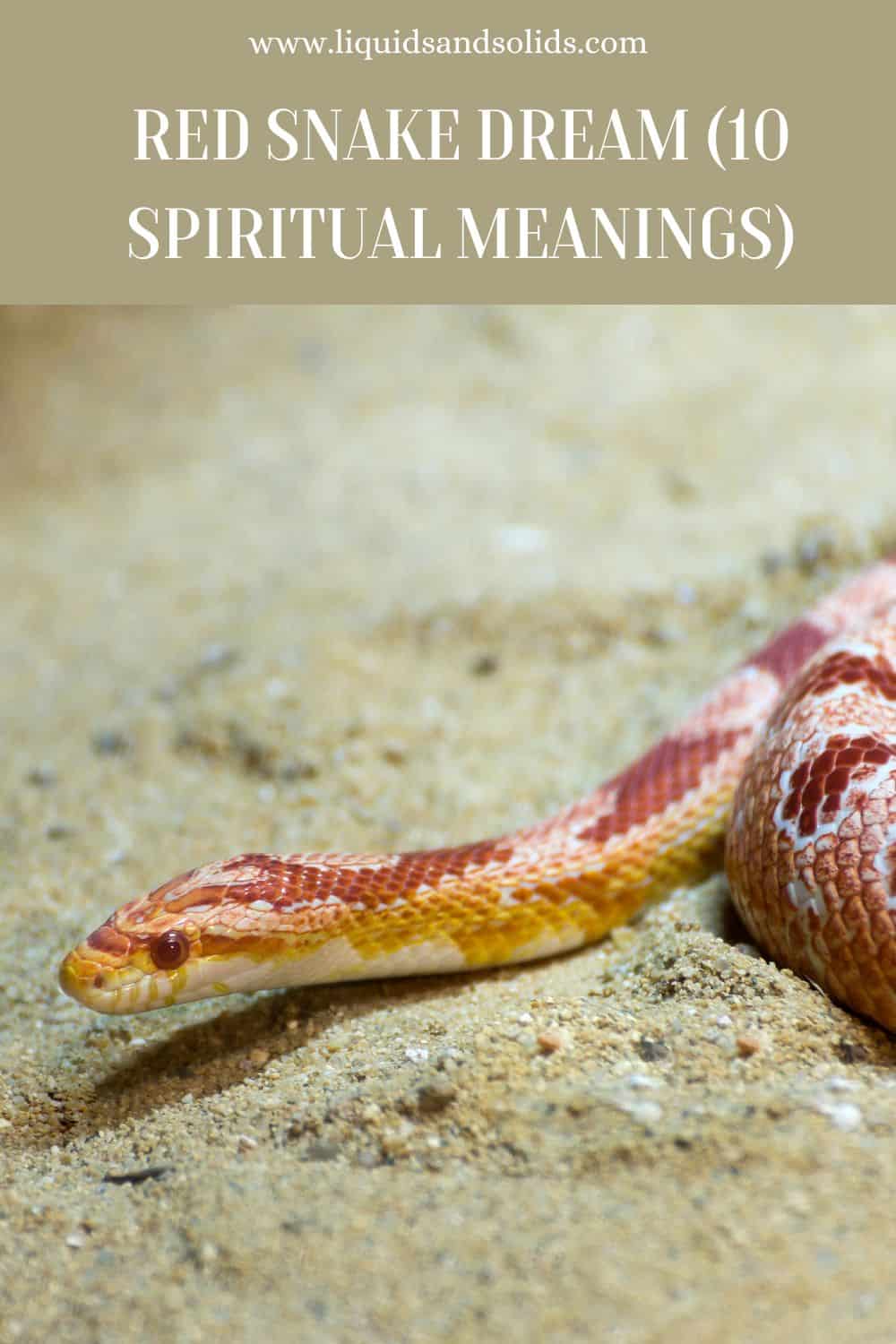  Drøm om rød slange? (10 spirituelle betydninger)