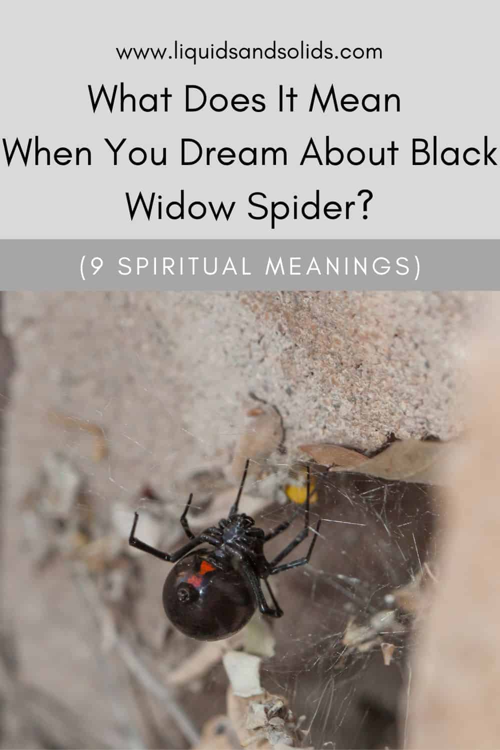  Hvad betyder det, når du drømmer om Black Widow Spider? (9 spirituelle betydninger)
