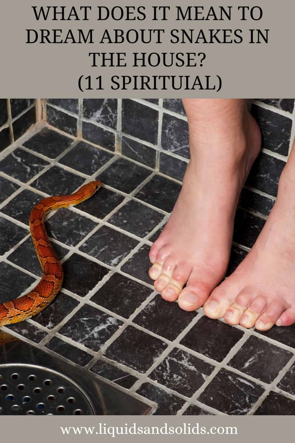 Drøm om slanger i huset? (11 spirituelle betydninger)