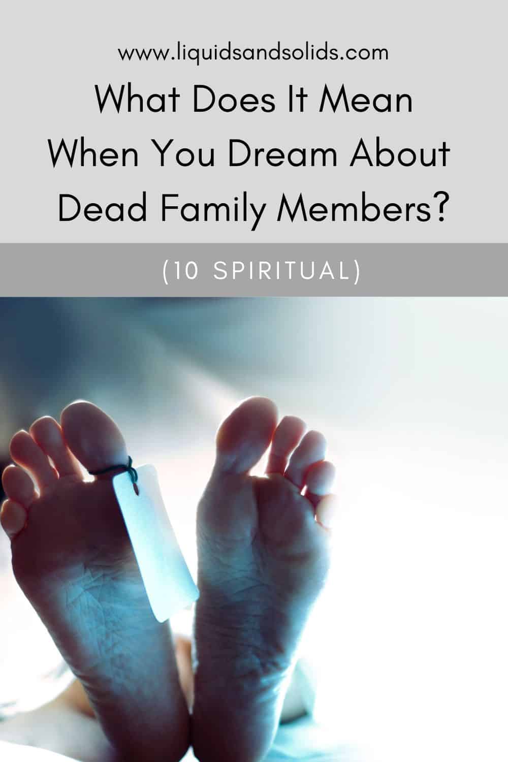  Drøm om døde familiemedlemmer? (10 spirituelle betydninger)