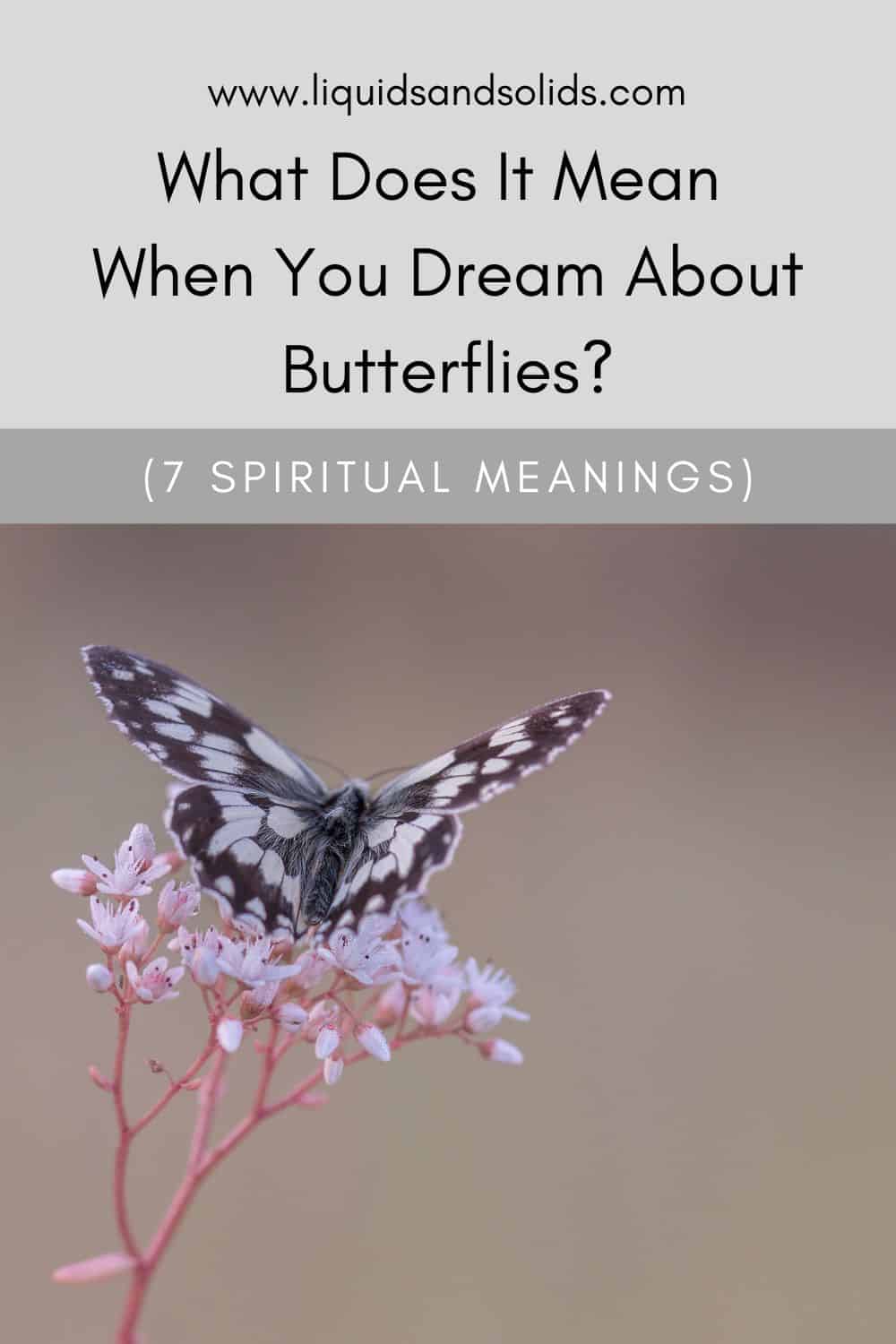  Hvad betyder det, når du drømmer om sommerfugle? (7 spirituelle betydninger)