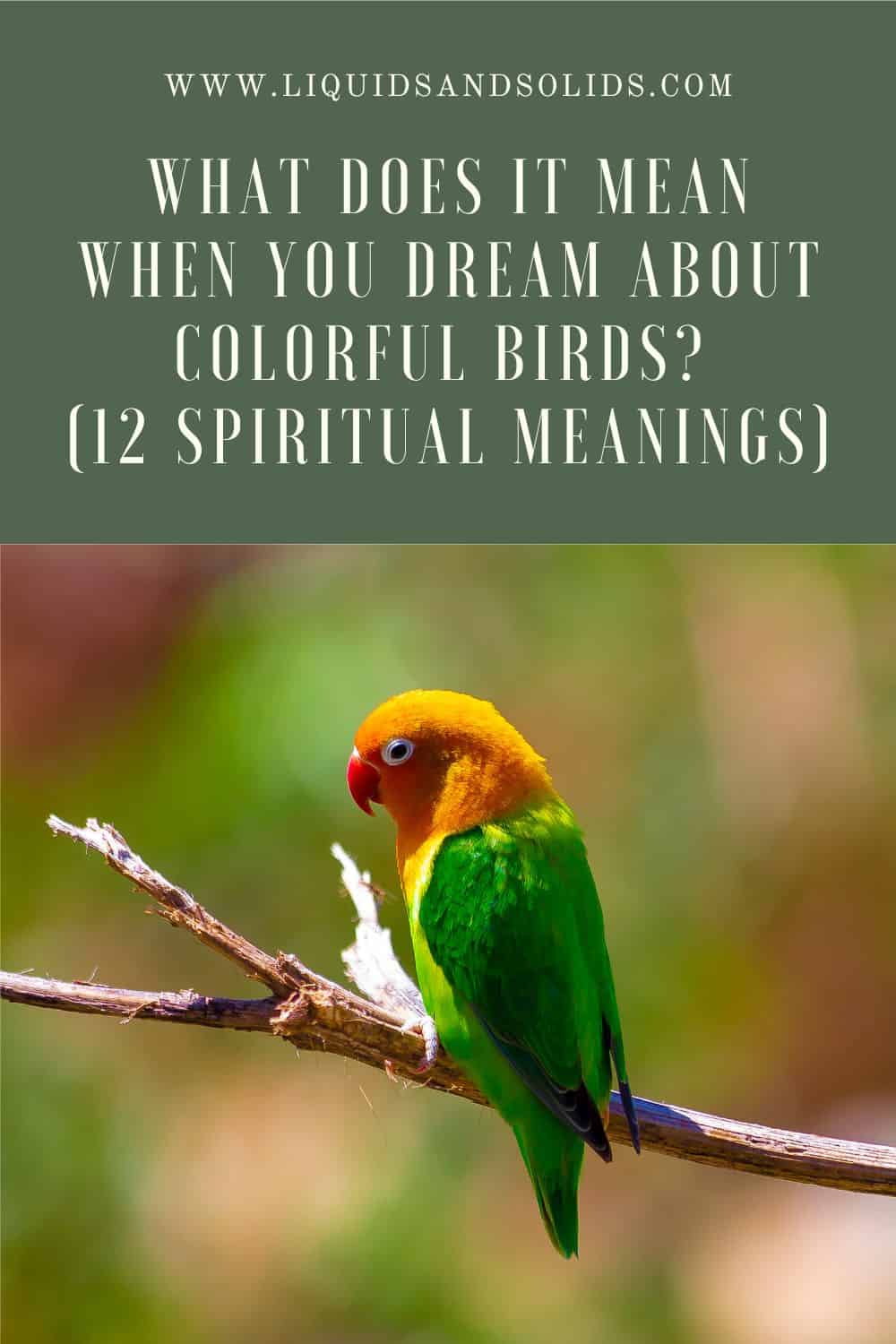 Hvad betyder det, når du drømmer om farverige fugle? (12 spirituelle betydninger)