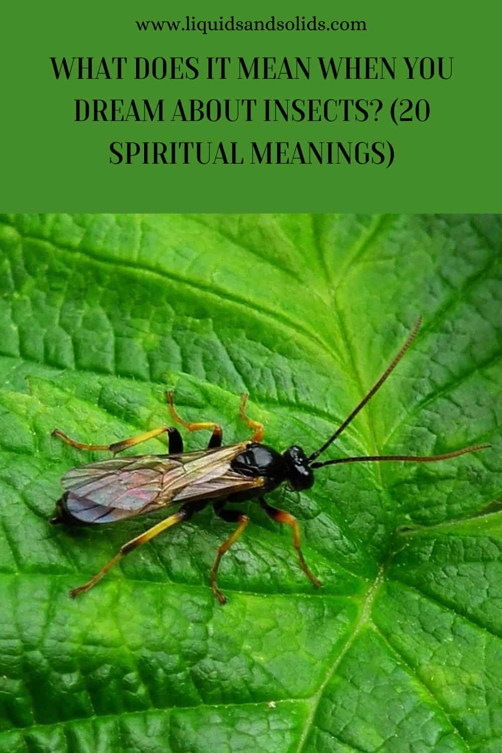  Hvad betyder det, når du drømmer om insekter? (20 spirituelle betydninger)