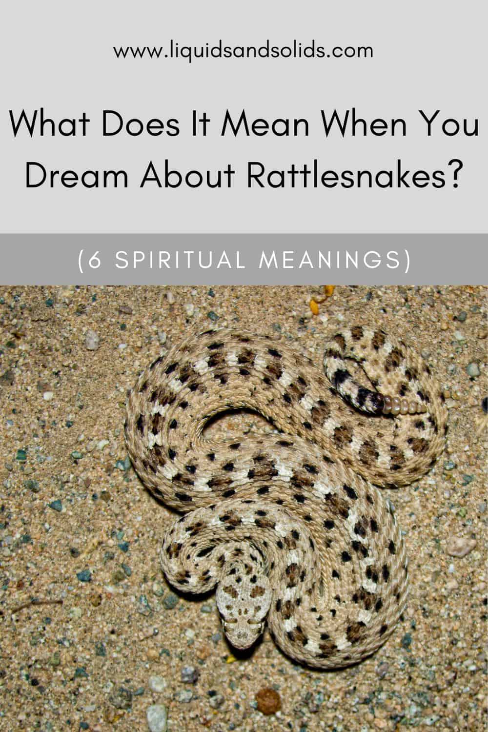 ມັນຫມາຍຄວາມວ່າແນວໃດໃນເວລາທີ່ທ່ານຝັນກ່ຽວກັບ Rattlesnakes? (6 ຄວາມ​ຫມາຍ​ທາງ​ວິນ​ຍານ​)