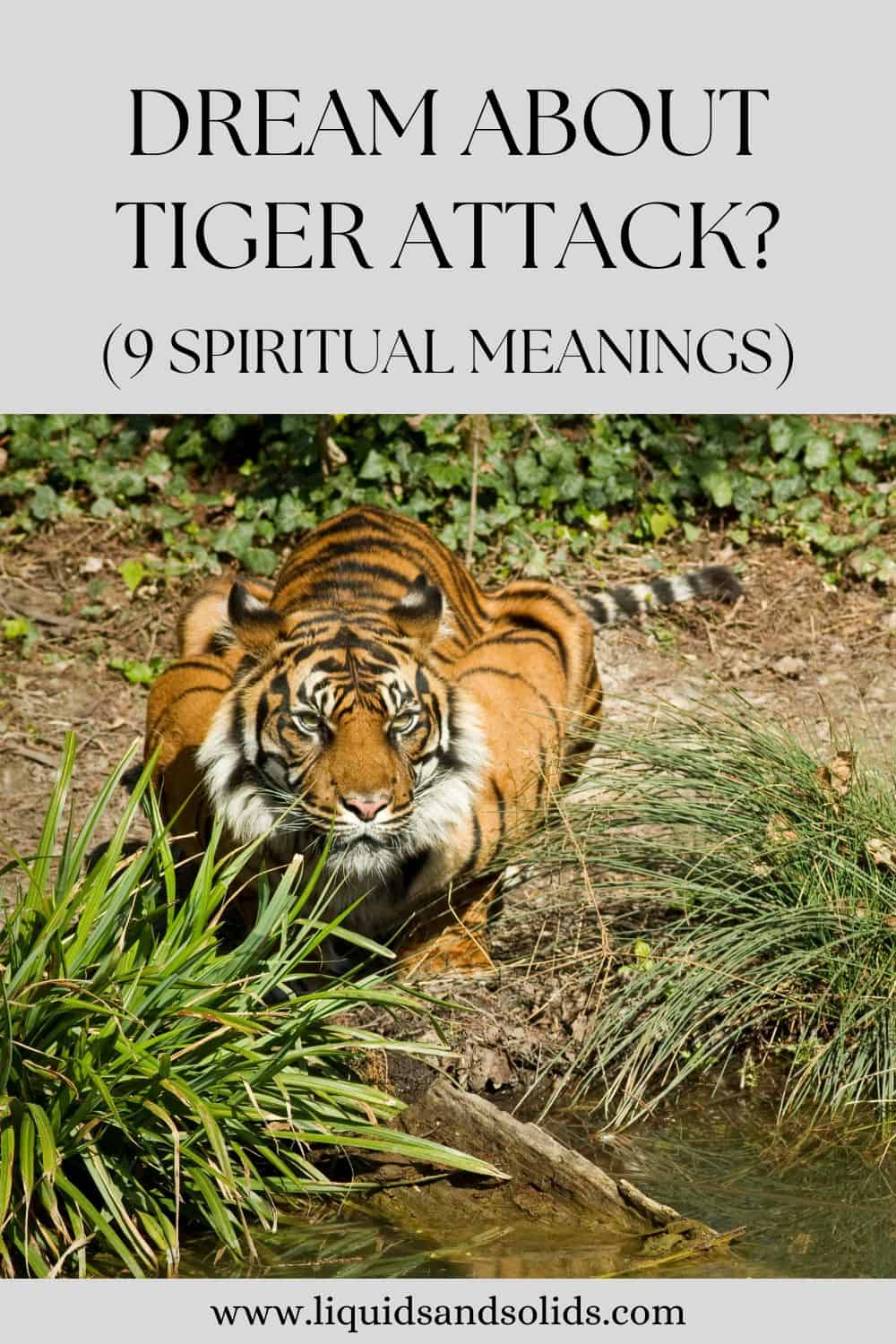  Dreyma um Tiger Attack? (9 andlegar merkingar)