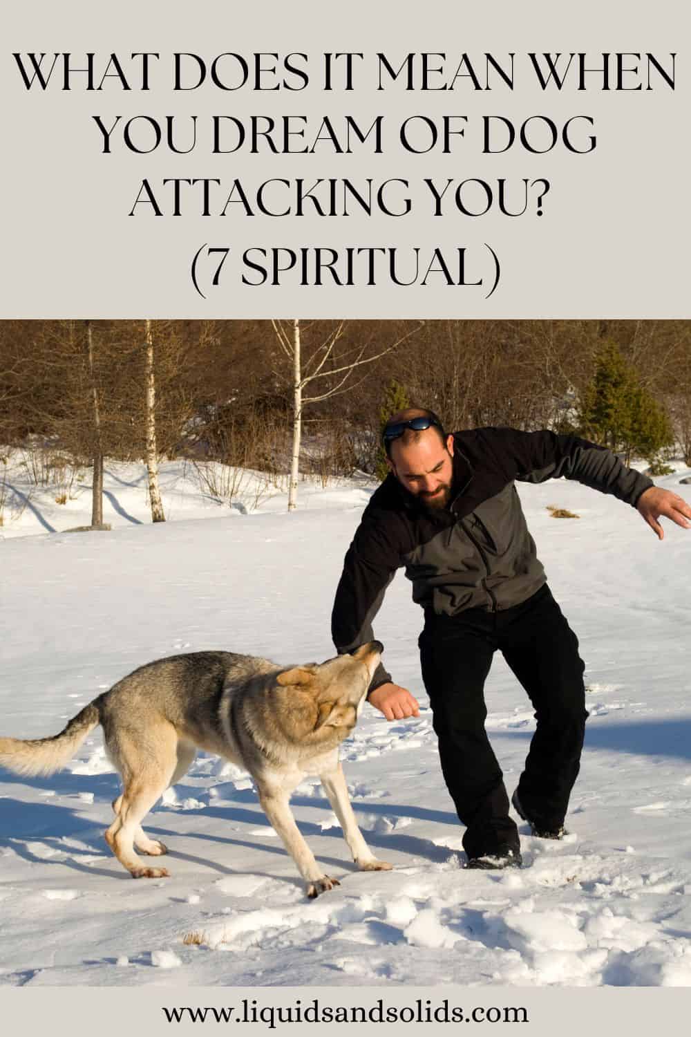  Rêve d'un chien qui vous attaque (7 significations spirituelles)