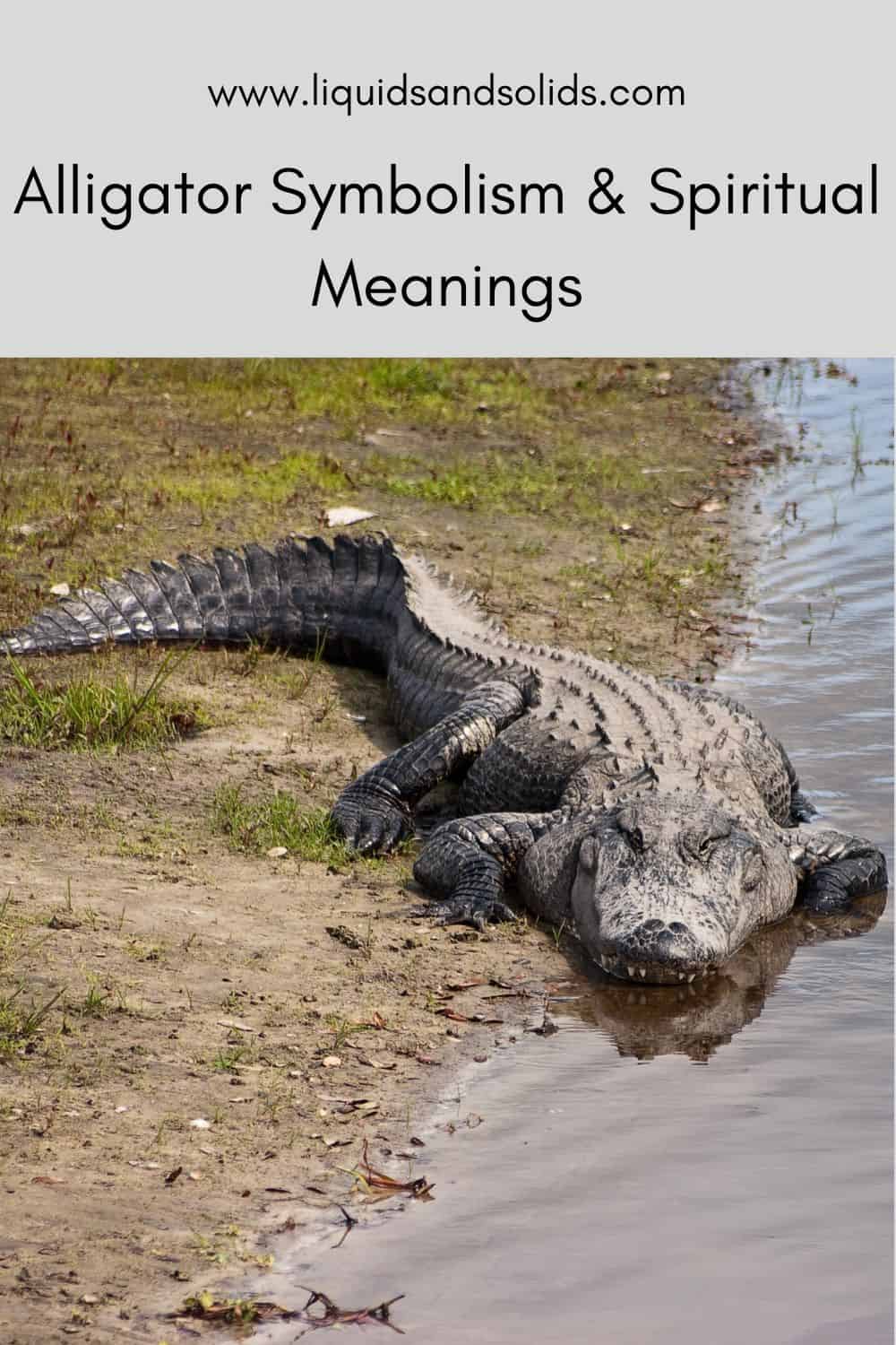  Alligator táknmál &amp; amp; Andleg merking
