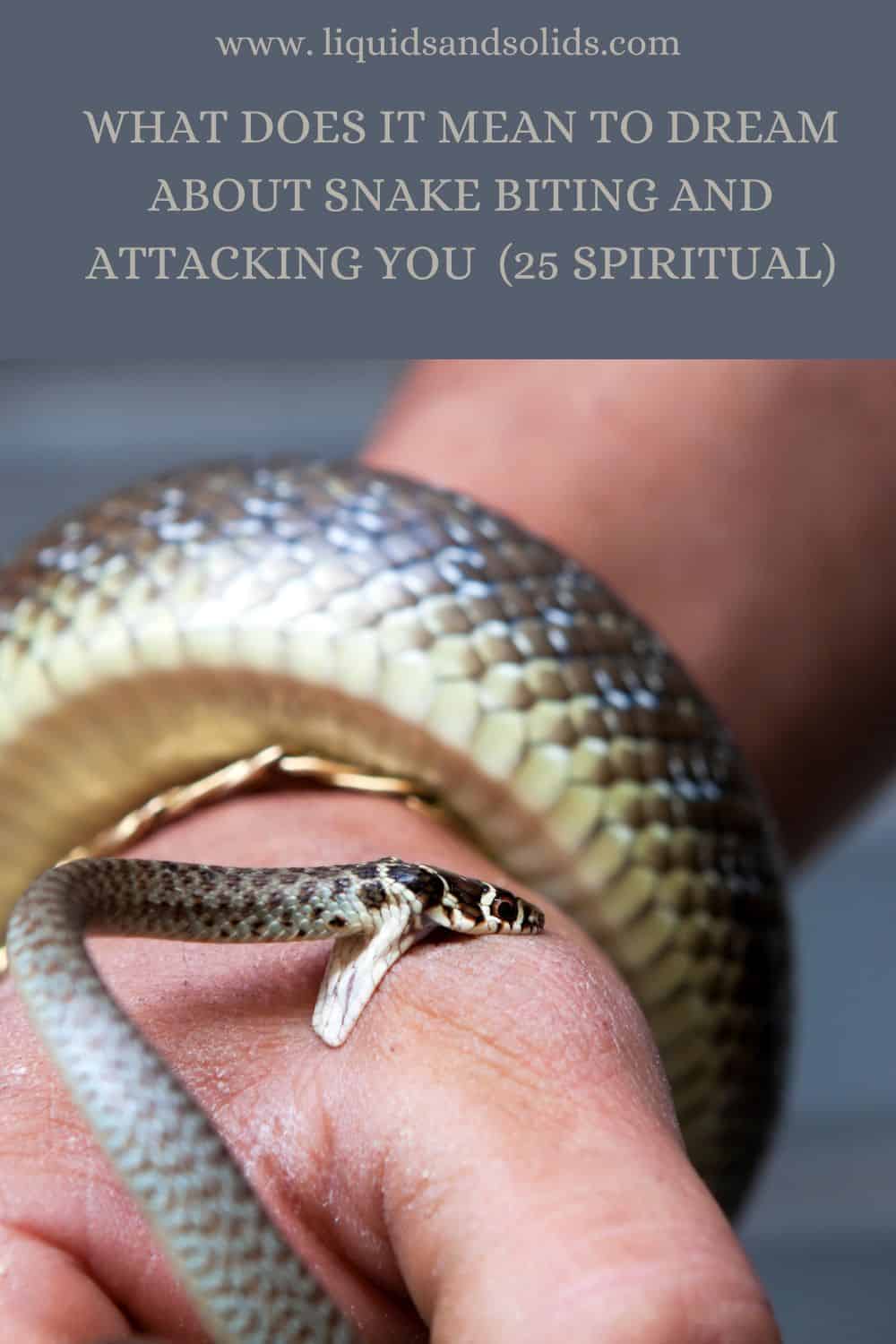  Rêve de serpent qui vous mord et vous attaque (25 significations spirituelles)