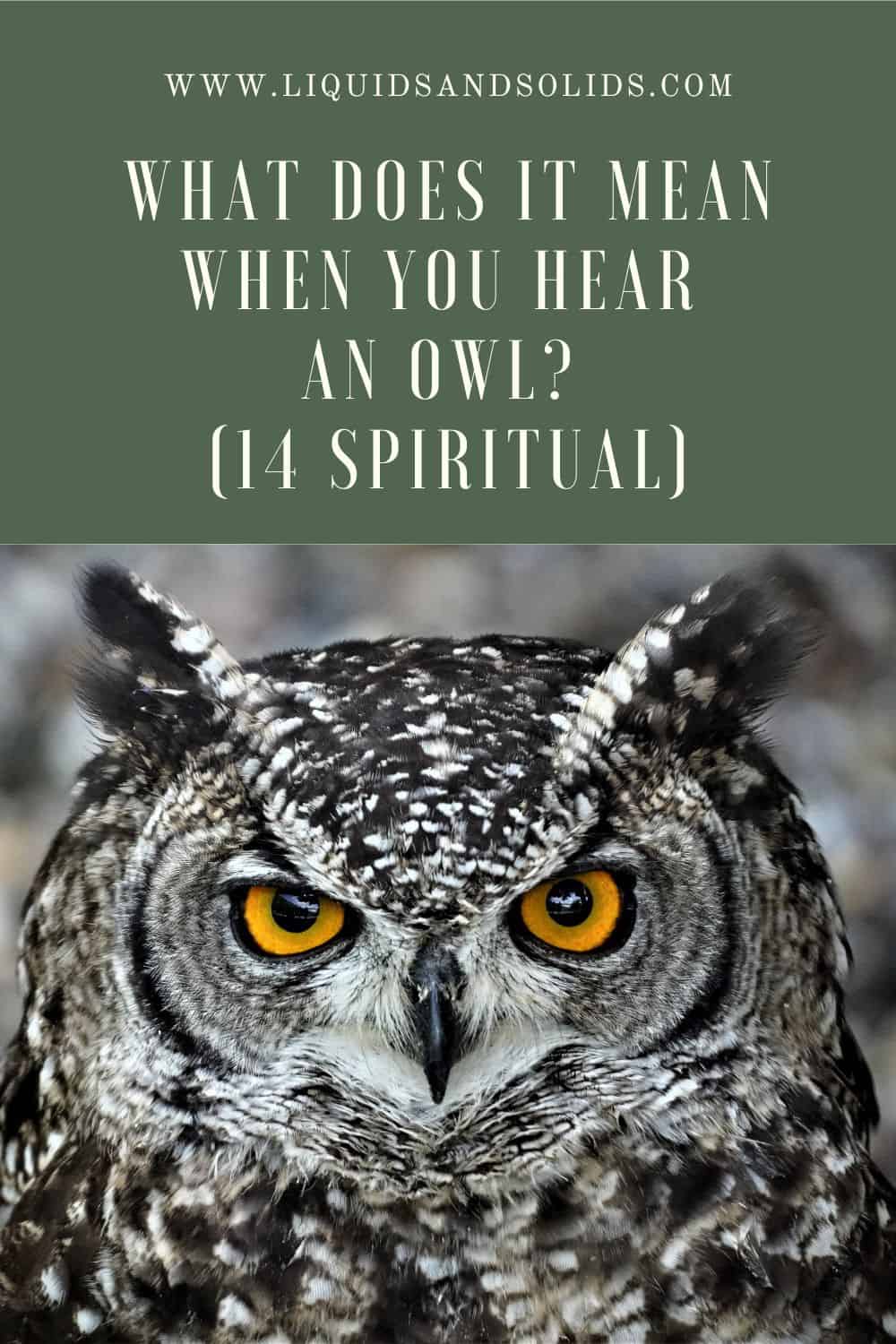  Que signifie entendre un hibou (14 significations spirituelles)