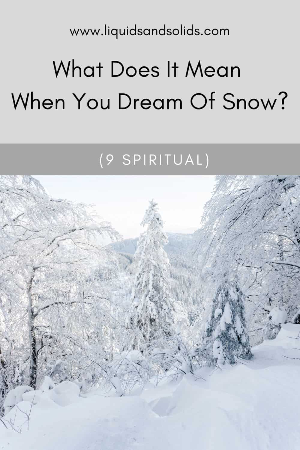  Mida tähendab see, kui sa unistad lumest? (9 vaimset tähendust)