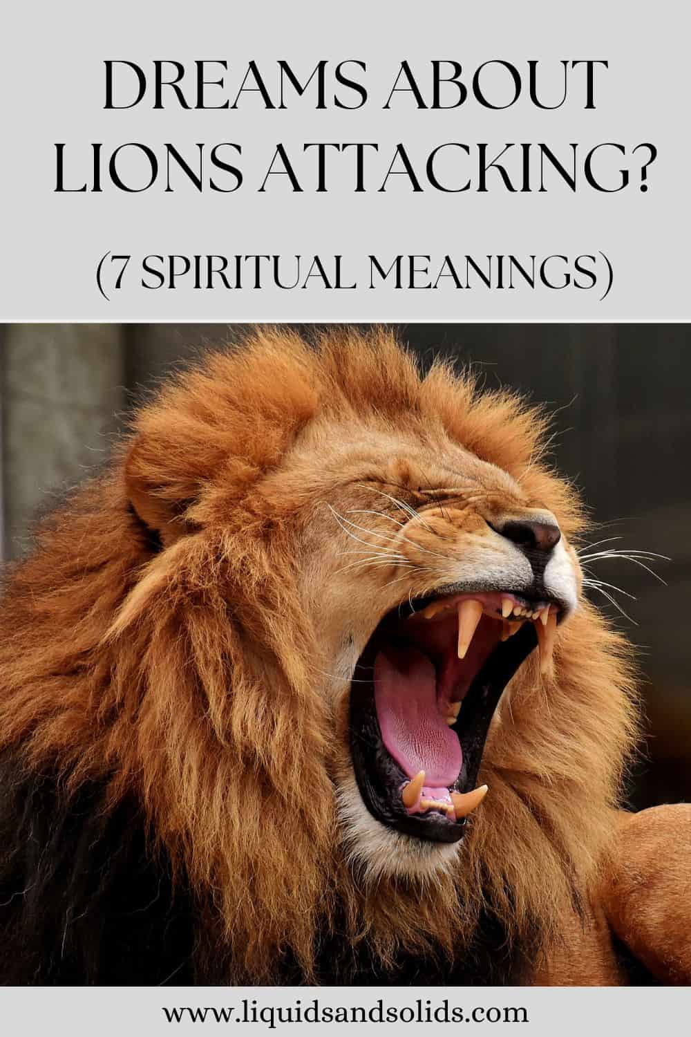  Álmok az oroszlánok támadásáról? (7 spirituális jelentés)