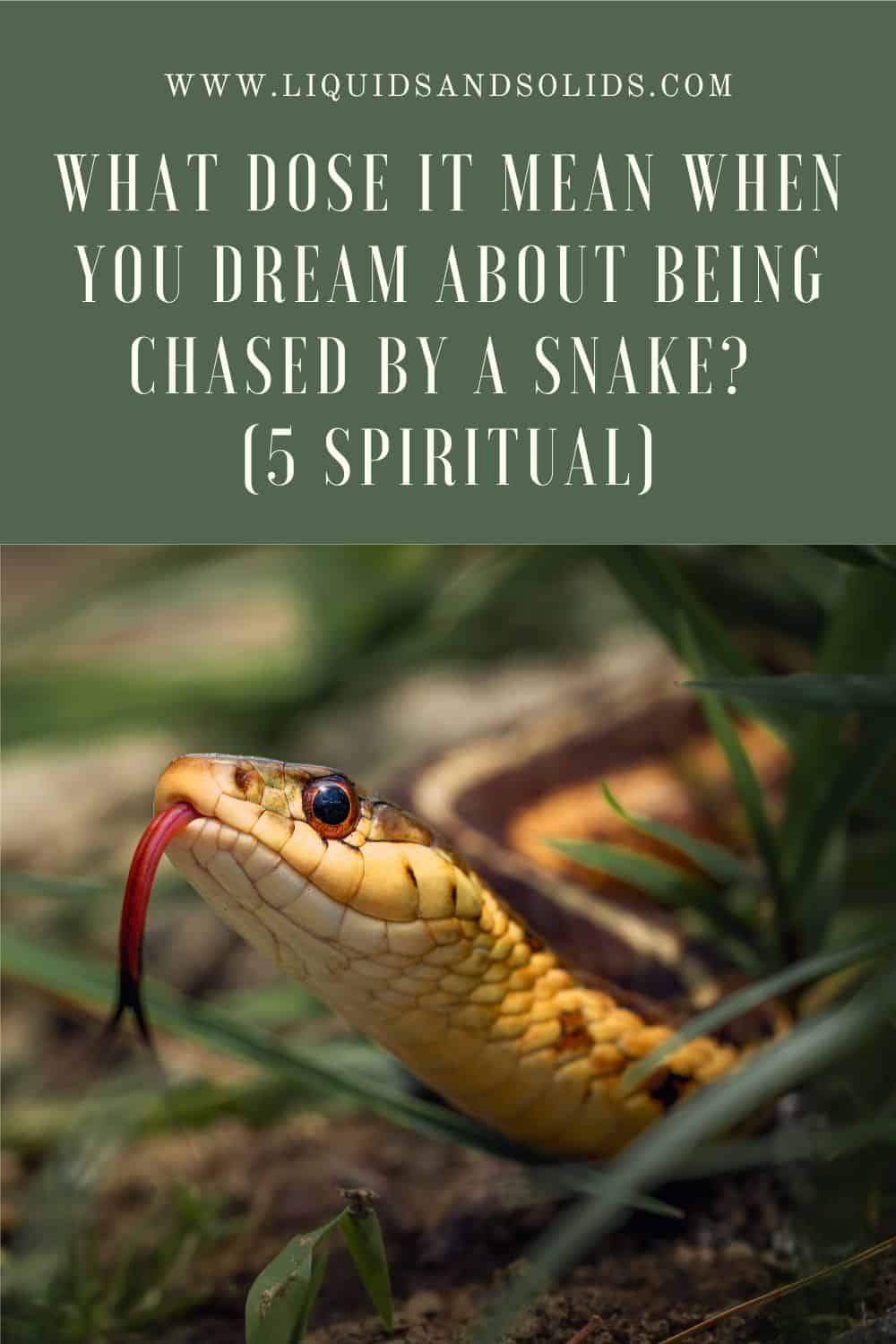  Dream About Being Chased by a Snake? (5 vaimset tähendust)