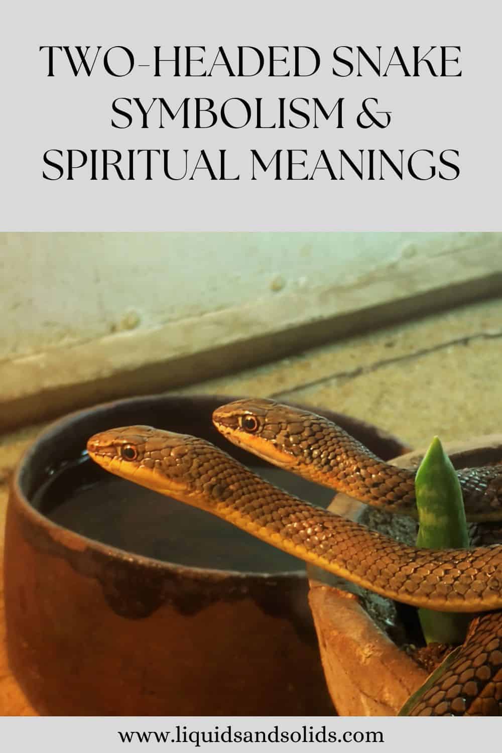  Symbolisme du serpent à deux têtes &amp; ; significations spirituelles