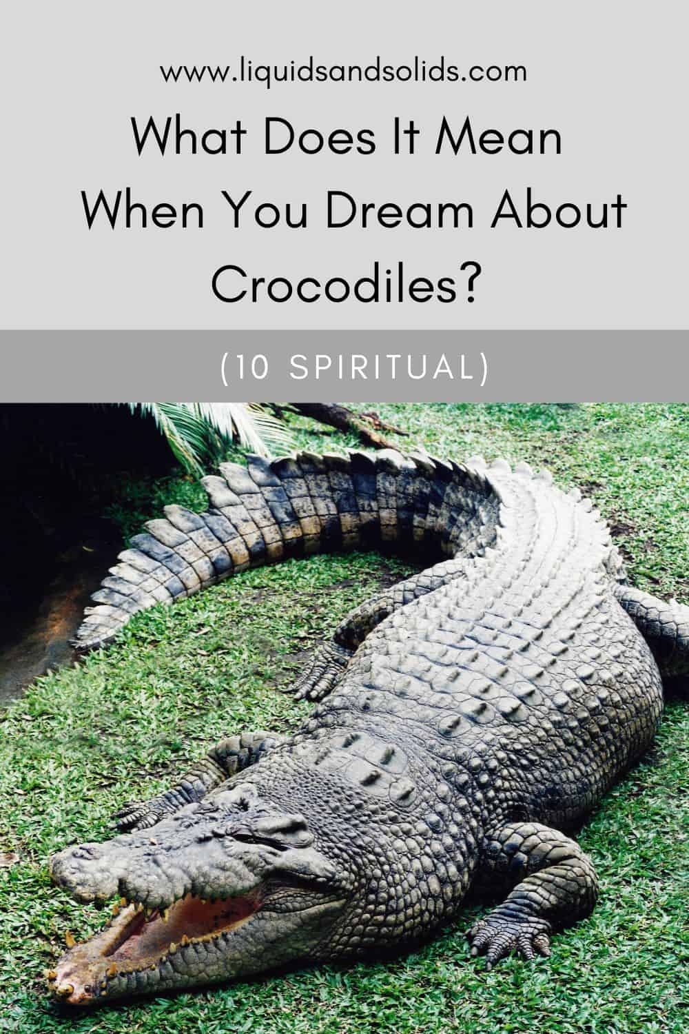  Mida tähendab see, kui sa unistad krokodillidest? (10 vaimset tähendust)