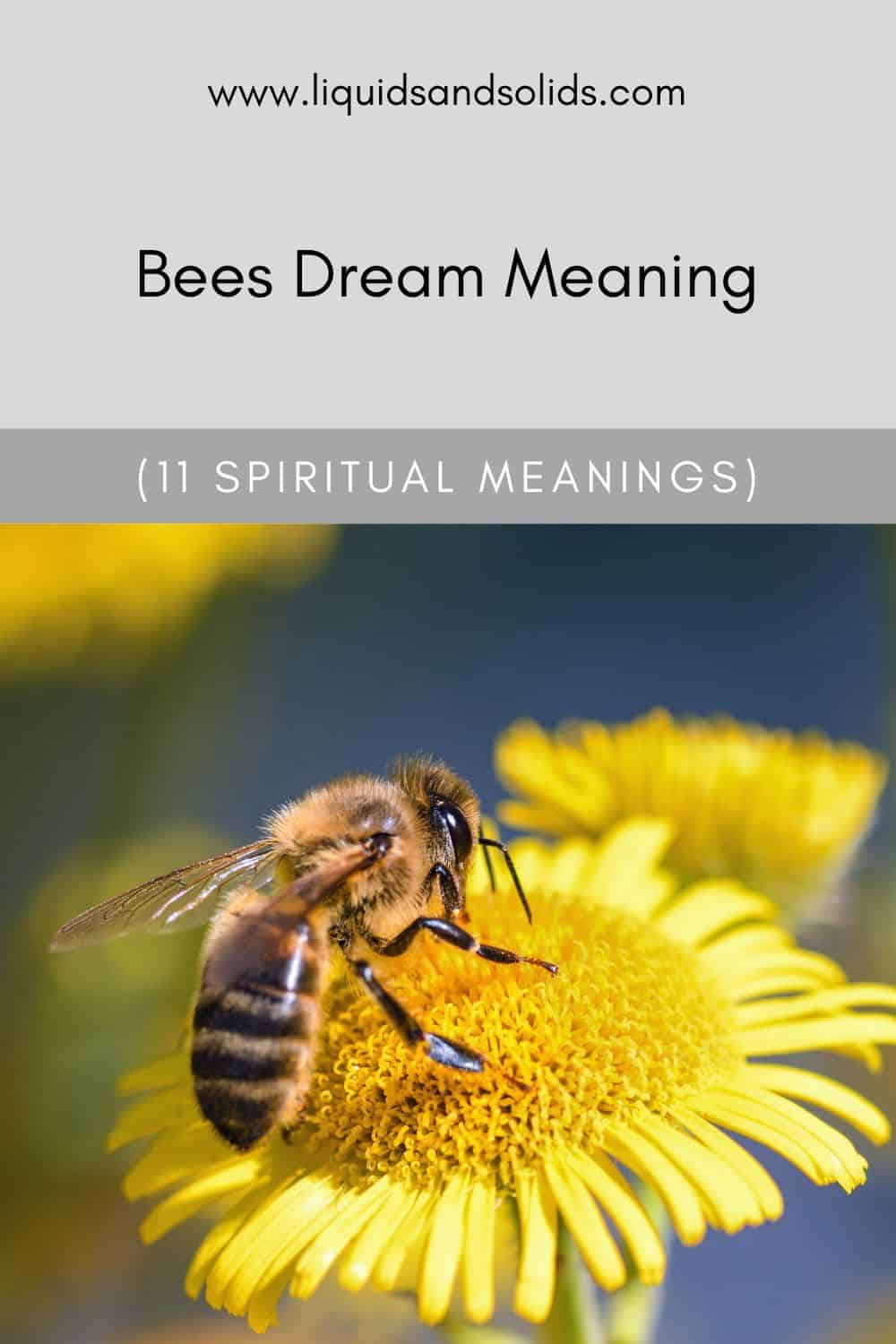  Rêver d'abeilles (11 significations spirituelles)