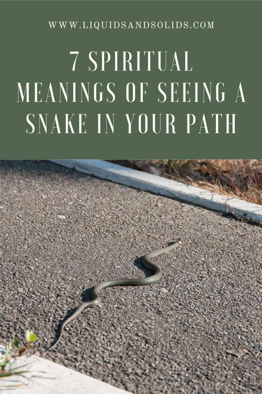  7 spirituális jelentése annak, ha kígyót látsz az utadon