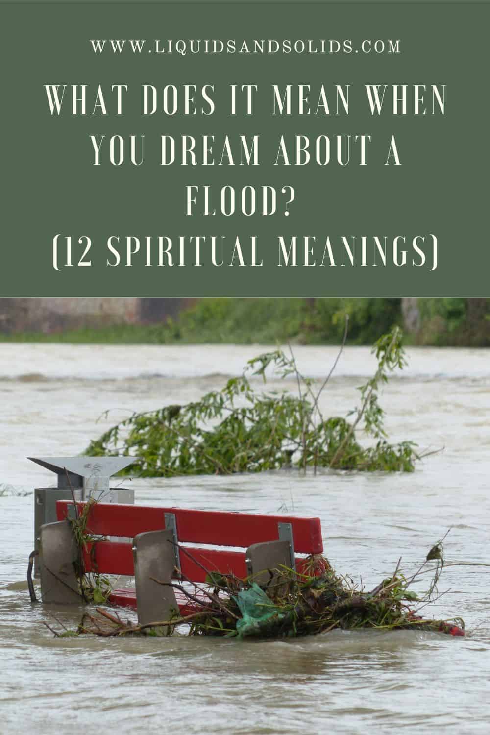  Que signifie rêver d'une inondation ? (12 significations spirituelles)