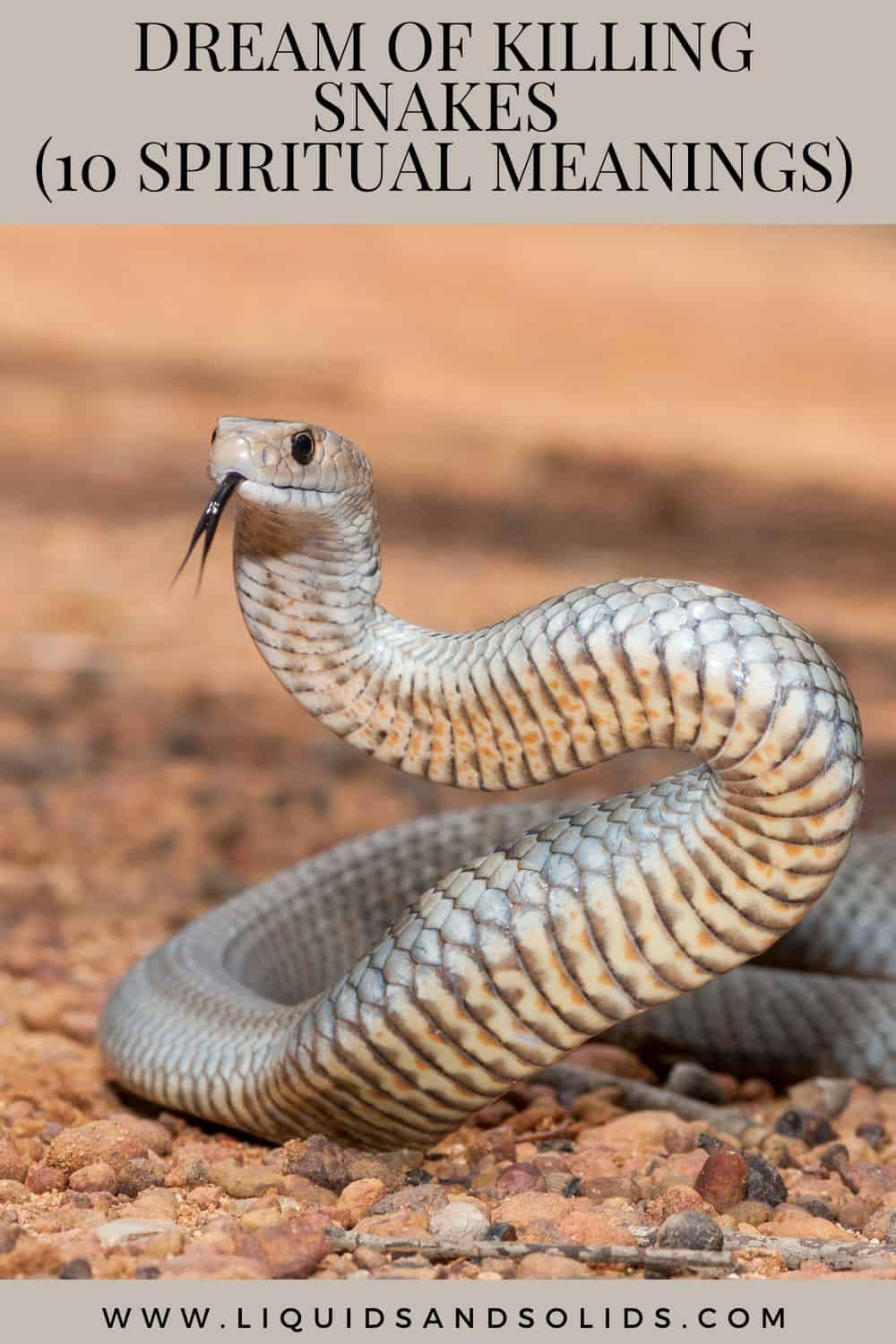  Rêver de tuer des serpents (10 significations spirituelles)