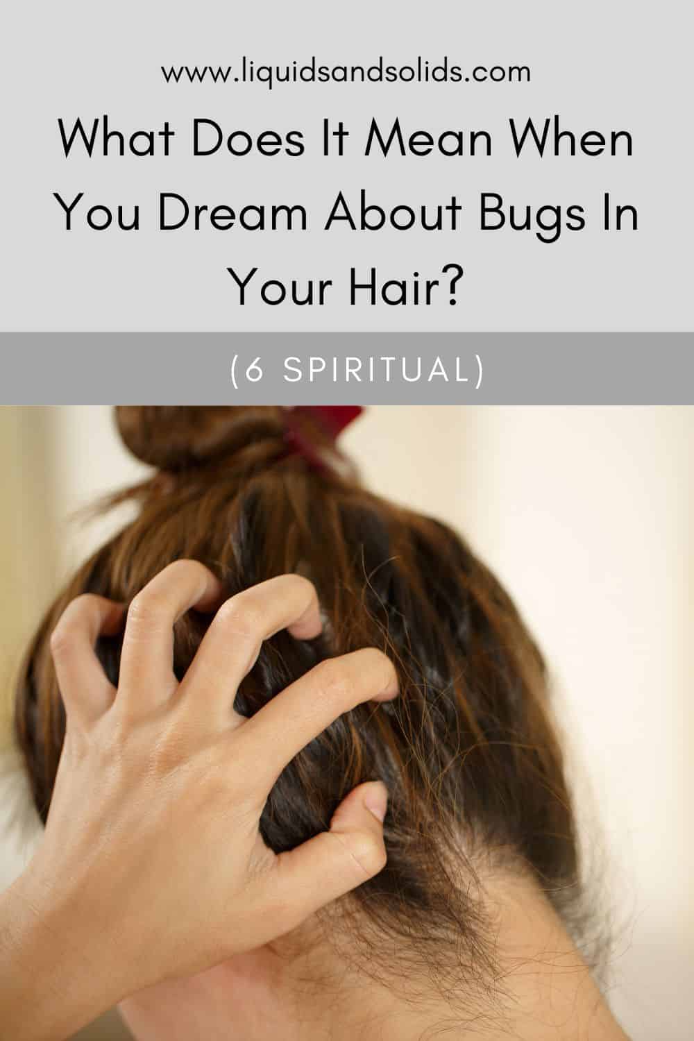  Insectes dans un rêve de cheveux (6 significations spirituelles)