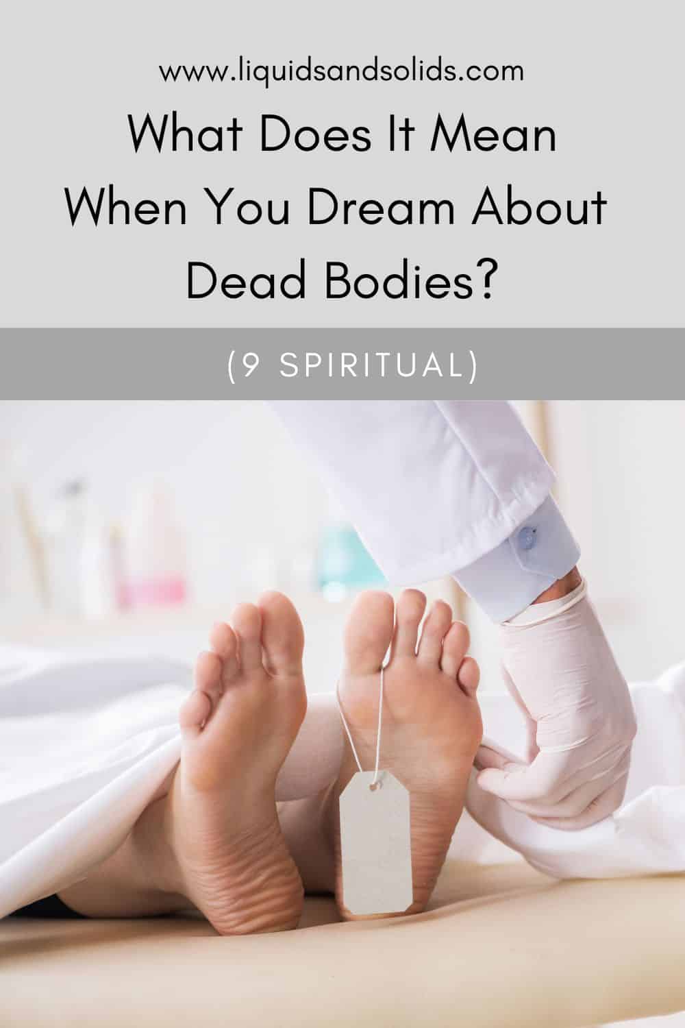  Soñar con cadáveres? (9 significados espirituais)