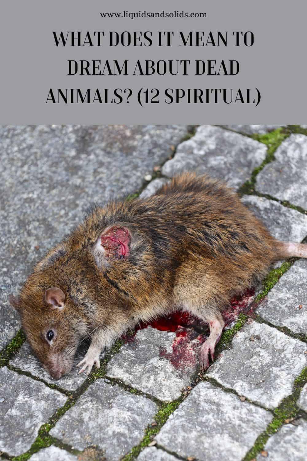  Álom halott állatokról? (12 spirituális jelentés)