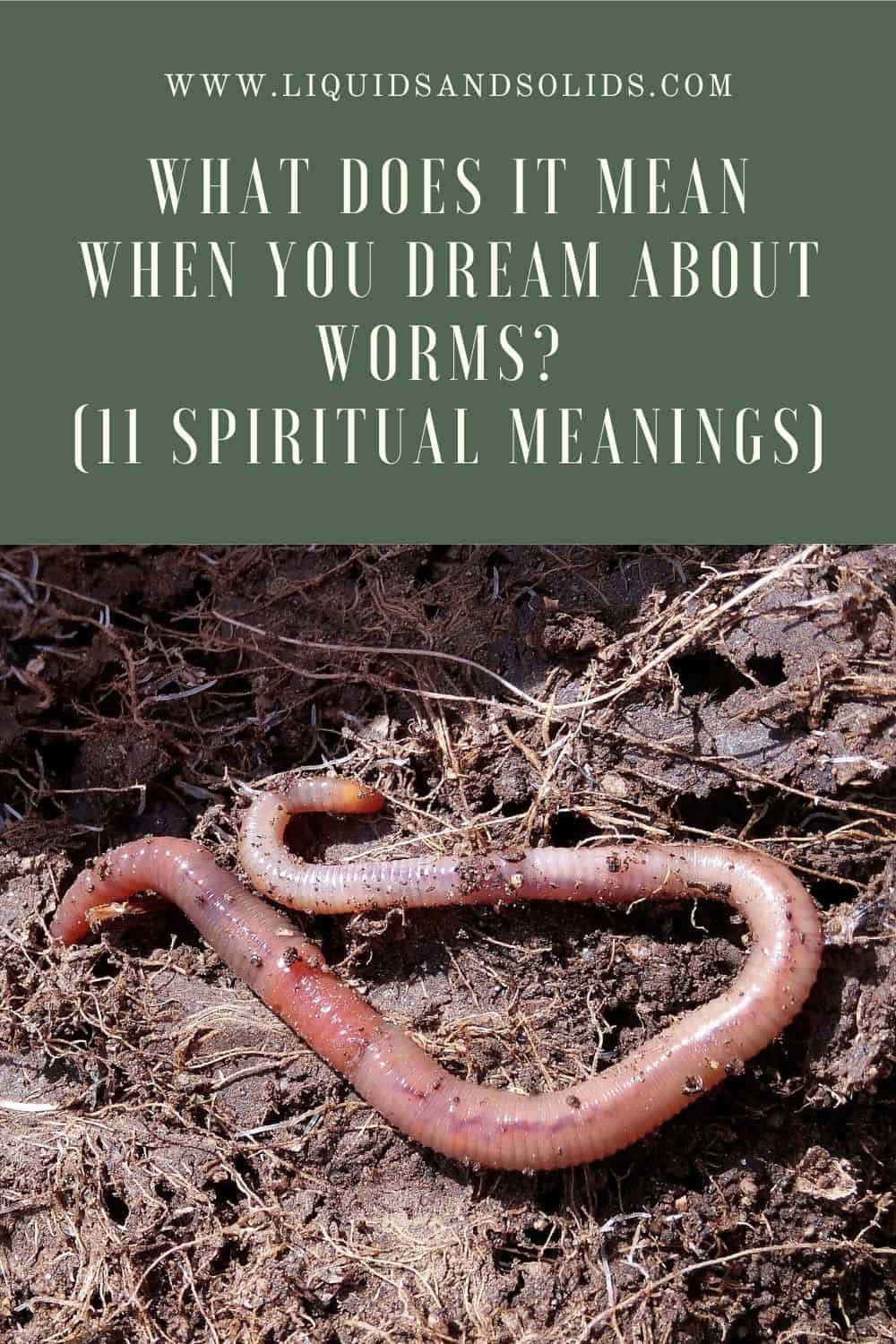  Ce que signifie rêver de vers (11 significations spirituelles)