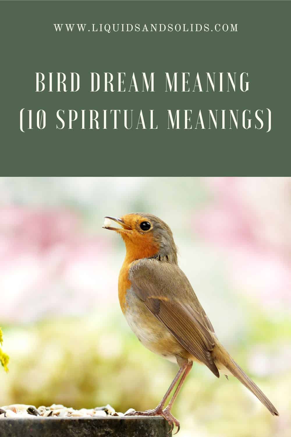  Soñar co paxaro? (10 significados espirituais)